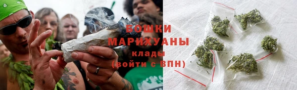 mdpv Бородино