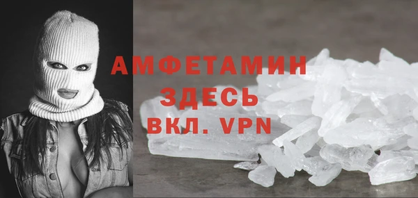 mdpv Бородино