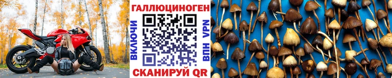 Псилоцибиновые грибы мухоморы  наркота  Кириши 